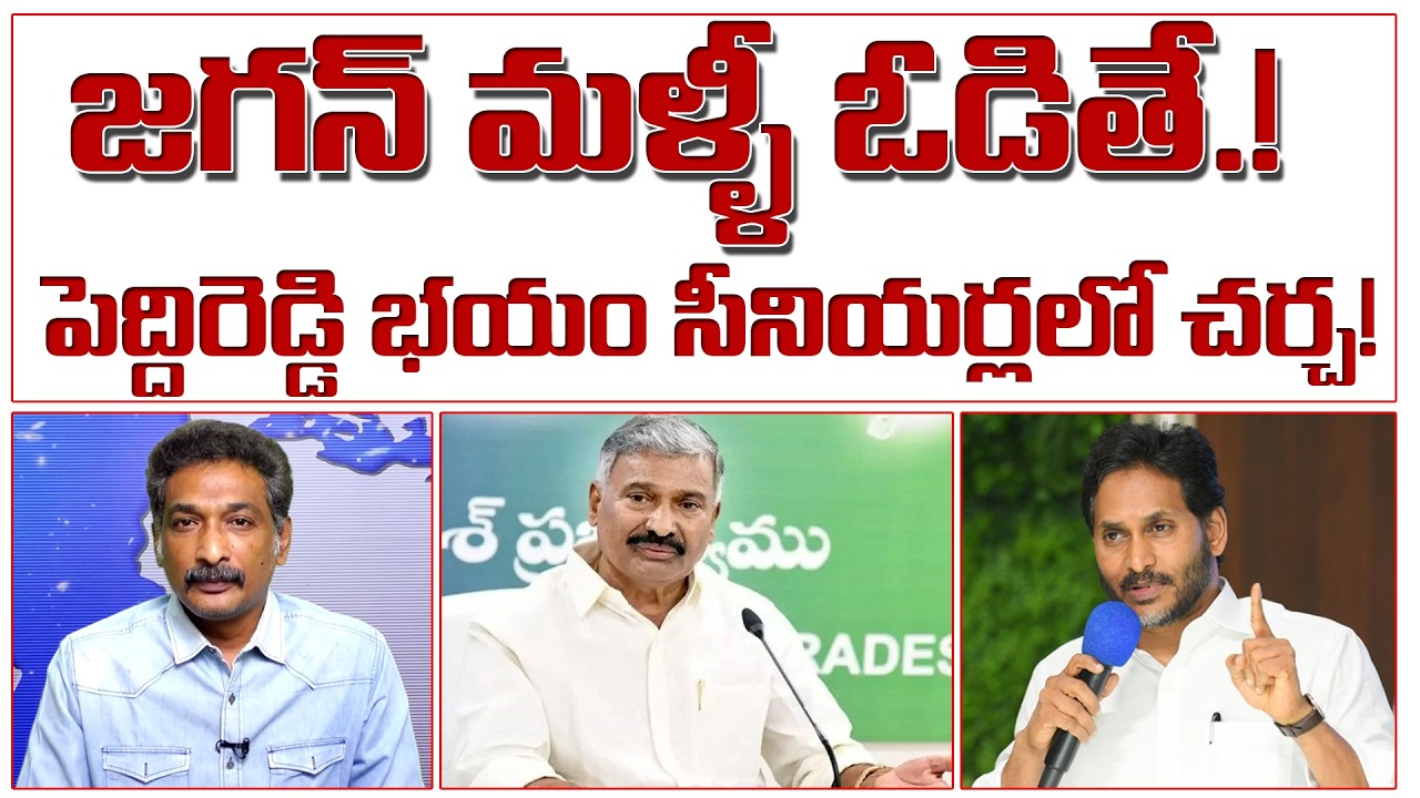 జగన్ మళ్ళీ ఓడితే.! పెద్దిరెడ్డి భయం సీనియర్లలో చర్చ! YS Jagan | Peddireddy Fear |