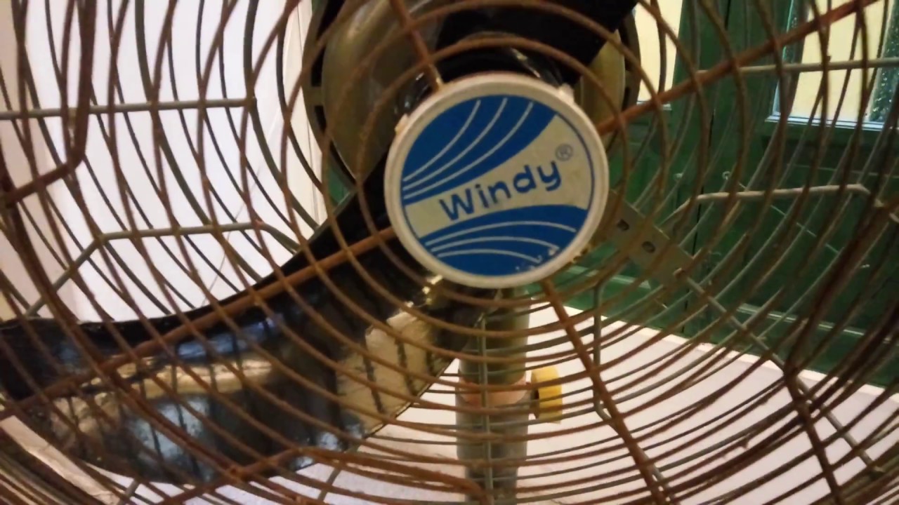 Windy 20
