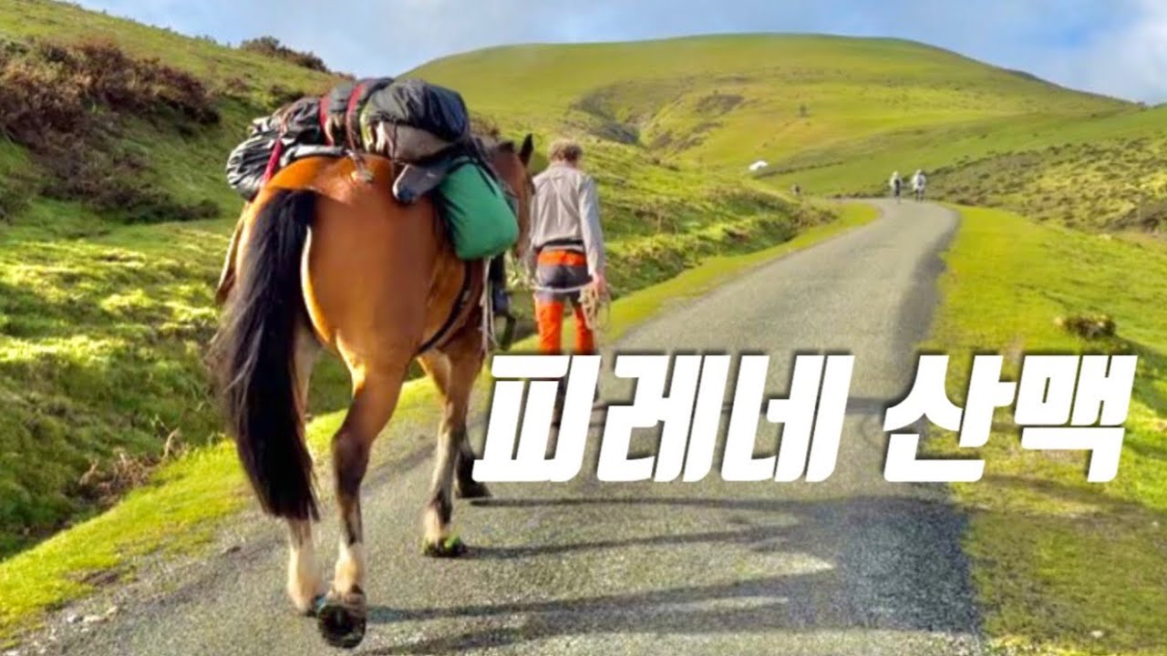🇫🇷🇪🇸 산티아고 순례길 [02] 해발 1,500m 피레네산맥 넘는 첫 날, 우연히 만나 함께 걷는 사람들.