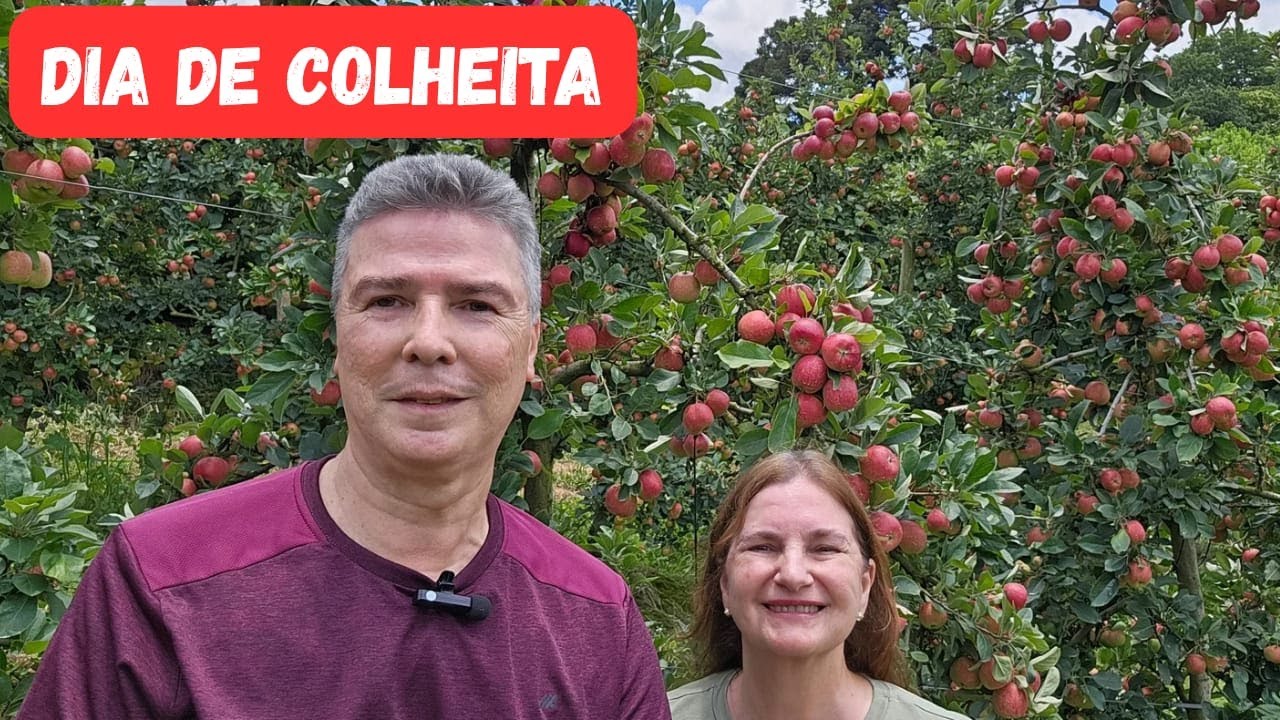 Chácara Frutas Brongel - Caminhos de Guajuvira -  Araucária- PR. O retorno.