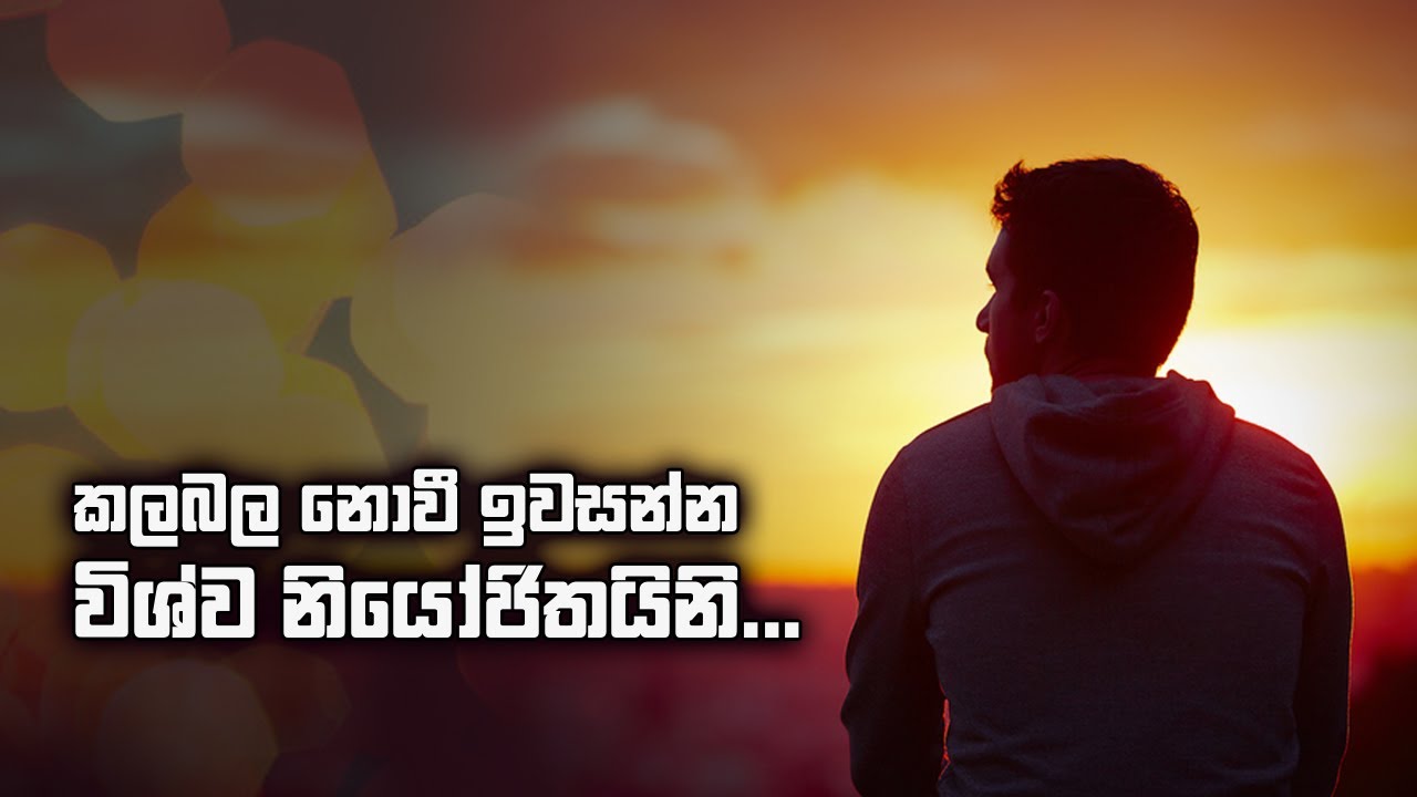 කලබල නොවී ඉවසන්න විශ්ව නියෝජිතයිනි...I Be patient, universal representative...!