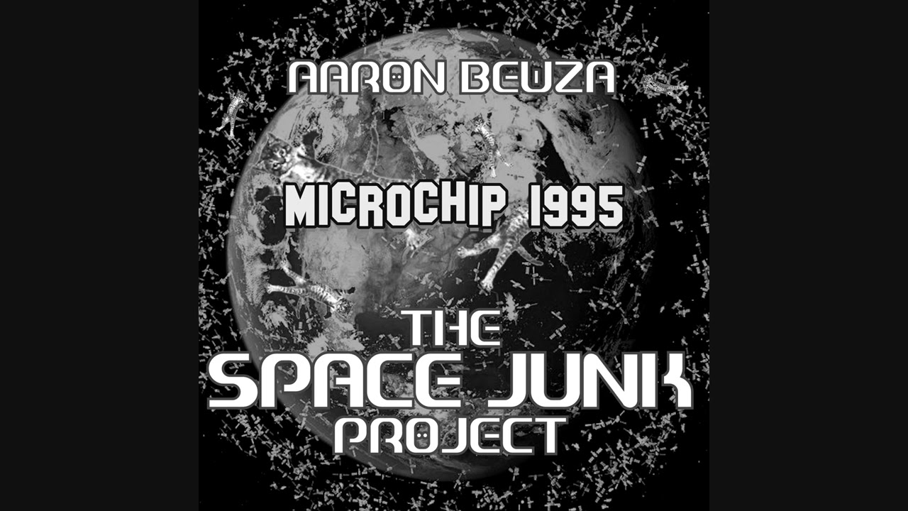 21   Microchip 1995