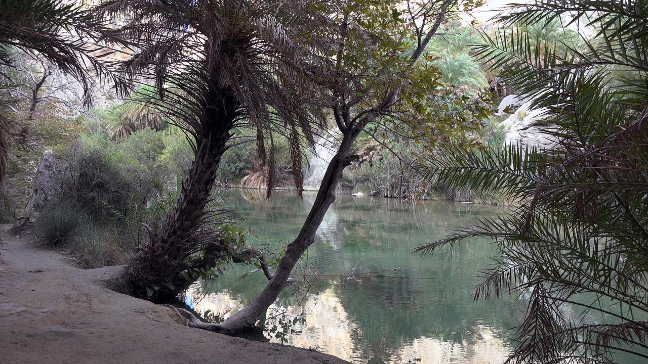Κουρταλιώτικο φαράγγι - Πρέβελη / Gorge of Kourtaliotis - palm beach of Preveli, Crete (UHD )