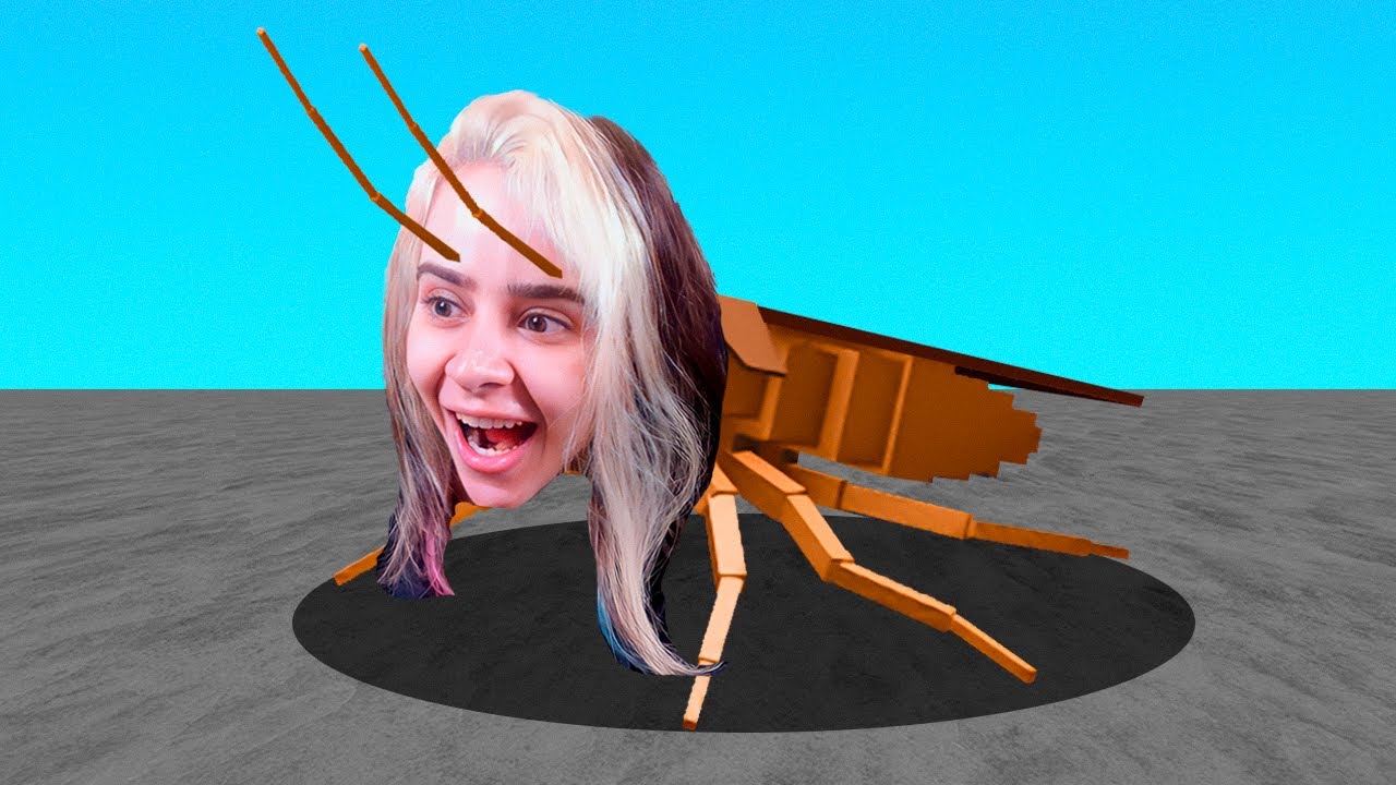 POV : você é uma barata