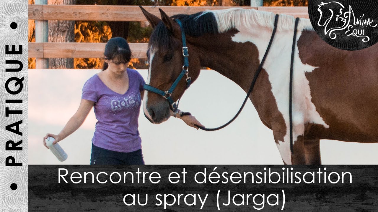 • PRATIQUE • Rencontre et désensibilisation au spray (Jarga)