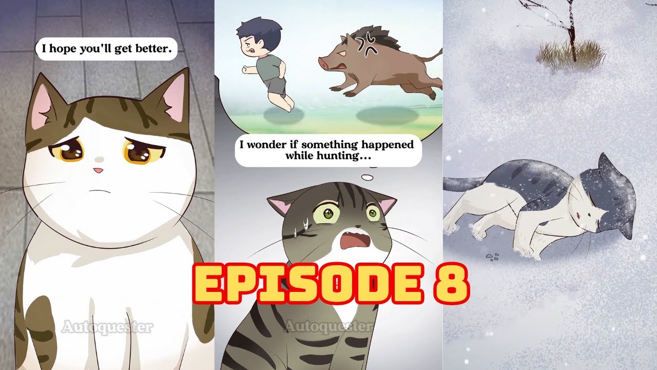 Cartoon and Real Life | Episode 8: Cold, Hungry, and Homeless The Harsh Reality of a Stray Cat
