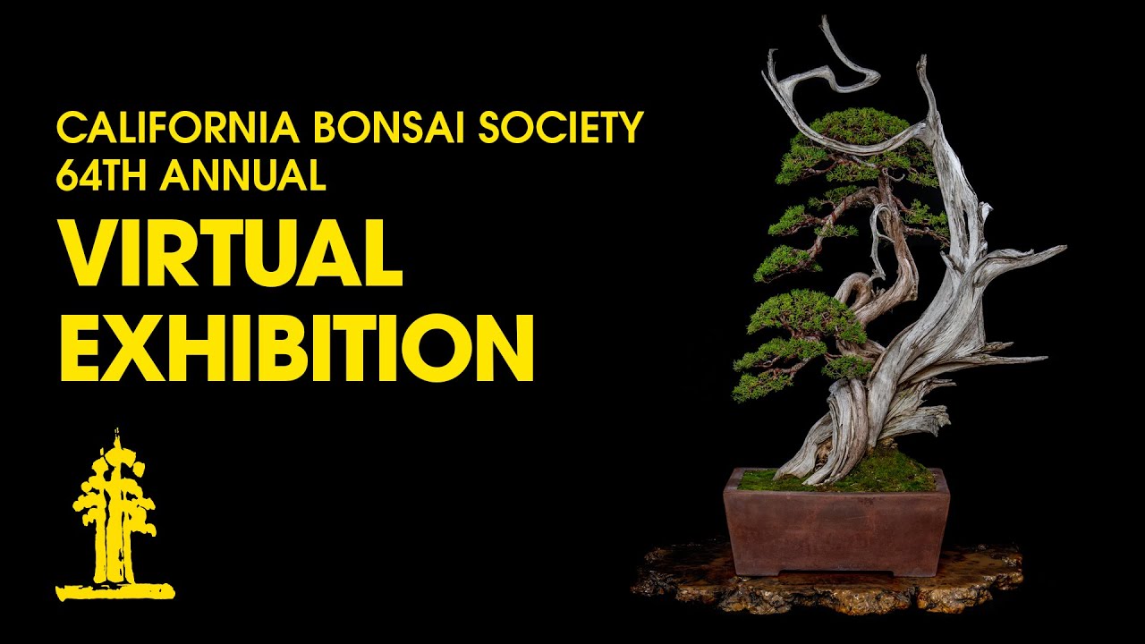California Bonsai Society's 64th Annual Virtual Exhibition