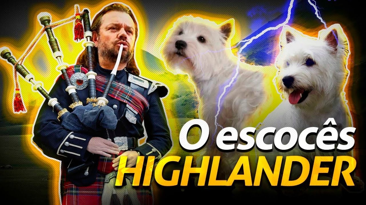 WEST TERRIER, ESTE É O CACHORRO DA IG! | RICHARD RASMUSSEN