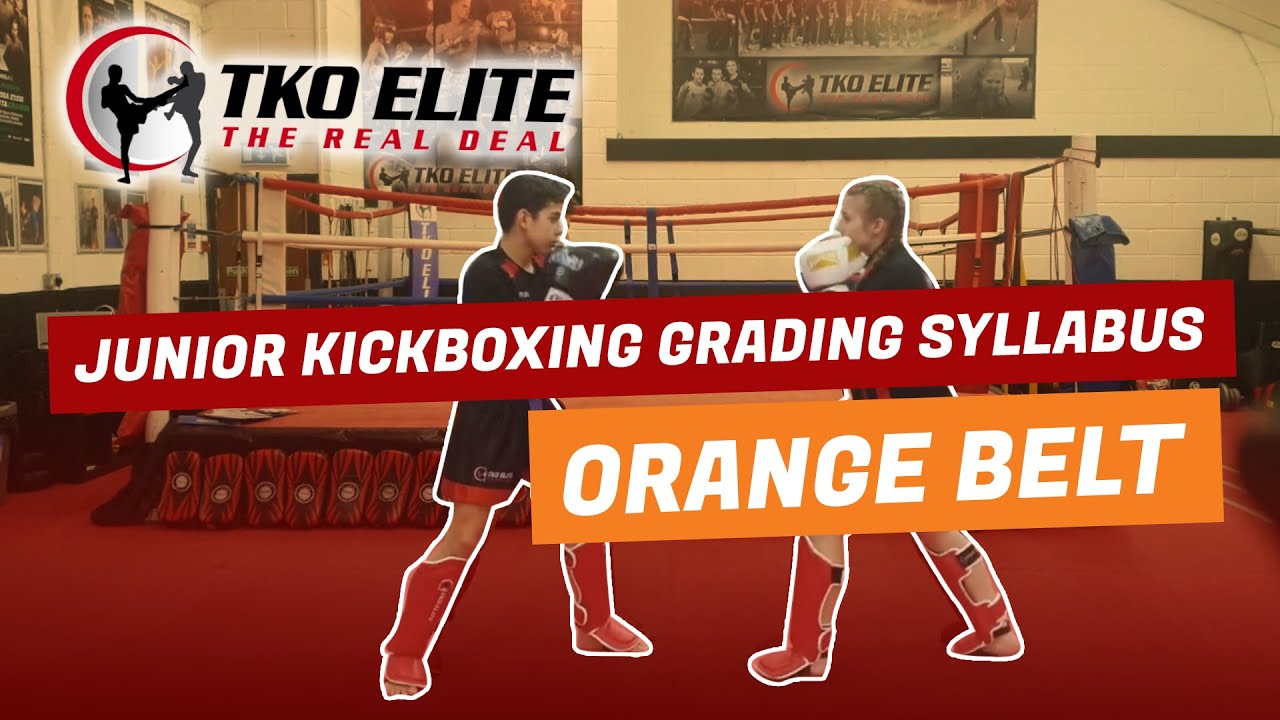 JUNIOR KICKBOXING GRADING SYLLABUS - ORANGE BELT 1 2 3 (TKO ELITE GYM)