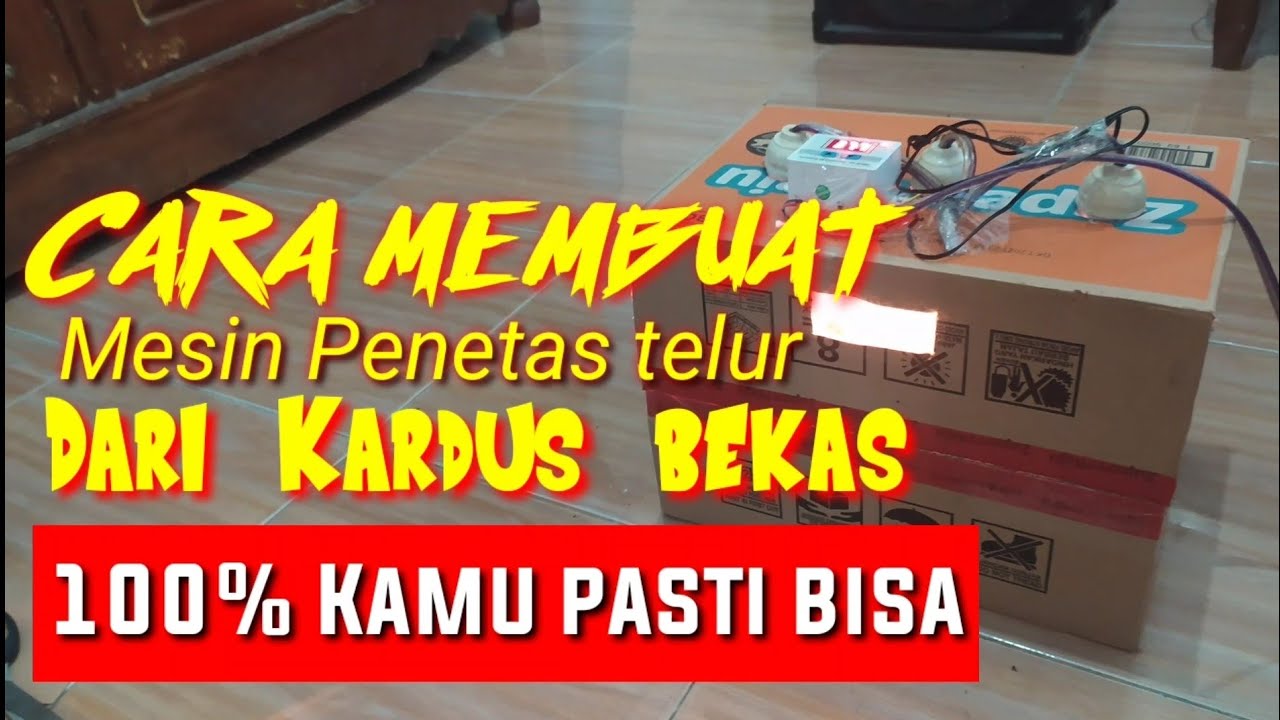 Cara Membuat mesin tetas dari kardus