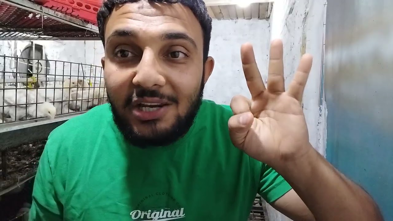 . إزاي تعمل عمبر دواجن من البداية وتظبط الـ Air Inlet صح | تمهيد لمعادلة التهوية 🔥