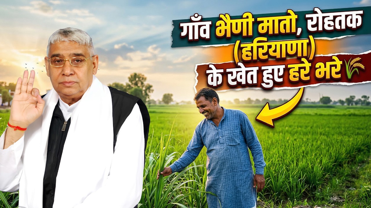 गाँव भैणी मातो, रोहतक (हरियाणा) में संत रामपाल जी का चमत्कार: बाढ़ से तबाह खेतों में फिर से हुई बुआई