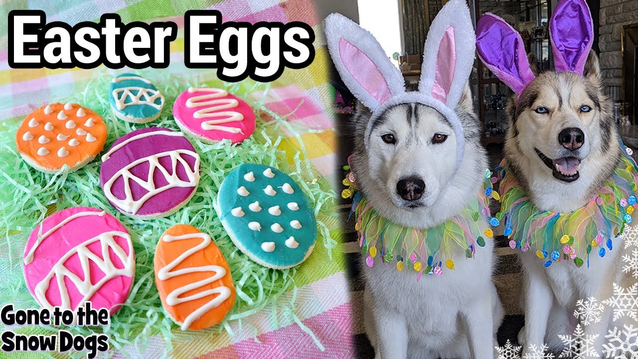How to Make Easter Eggs for Dogs | DIY Dog Treats 117