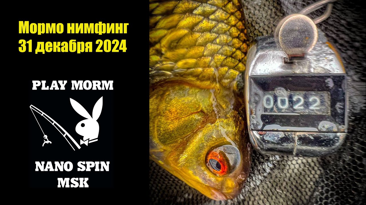 Мормо нимфинг 31 декабря 2024