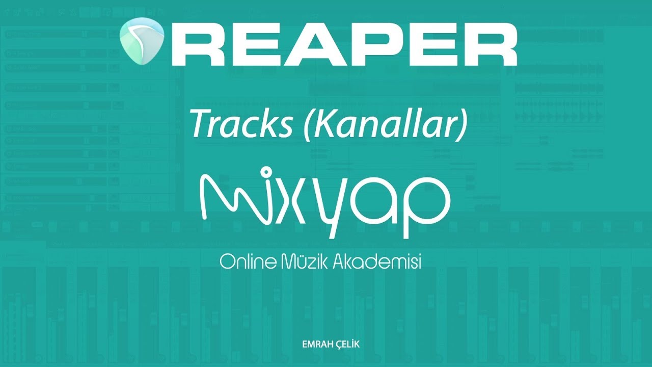 Reaper - Tracks (Kanallar)