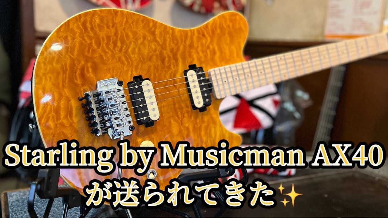 【VAN HALENの音】Starling by Musicman AX40とKEMPERでエディサウンドを手に入れた✨全てを公開&解説！