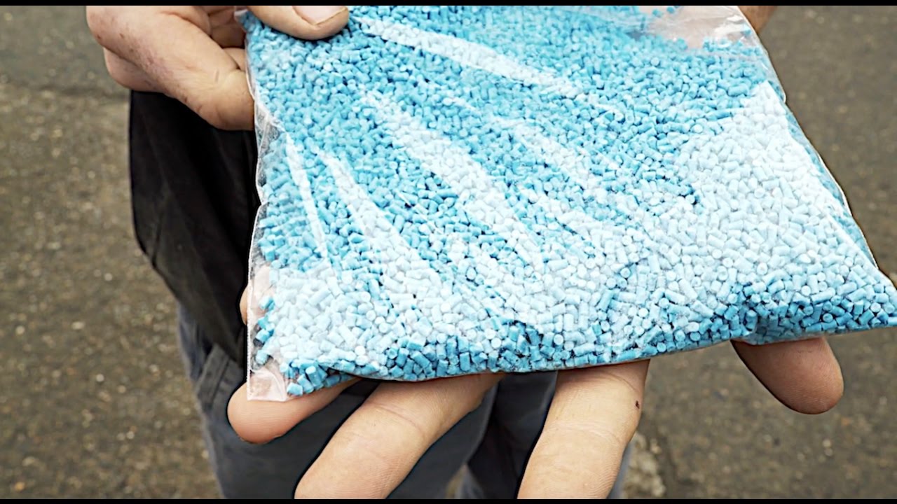 Tackling slugs - in a more environmentally friendly way