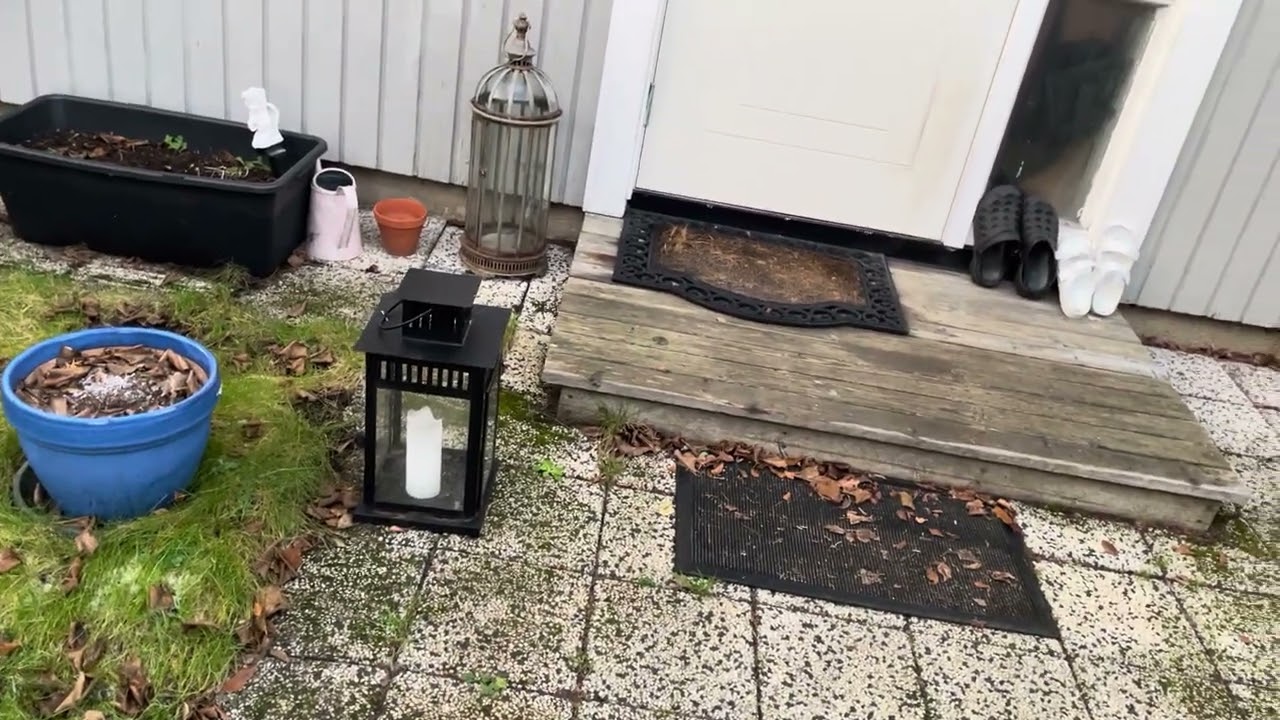 Kollar is på låda. 26/12 2025. 