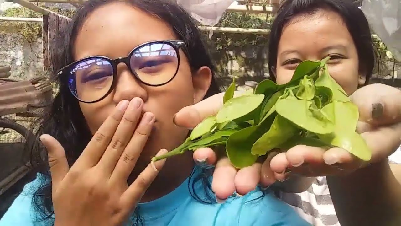 metik daun jeruk (((lagi)))