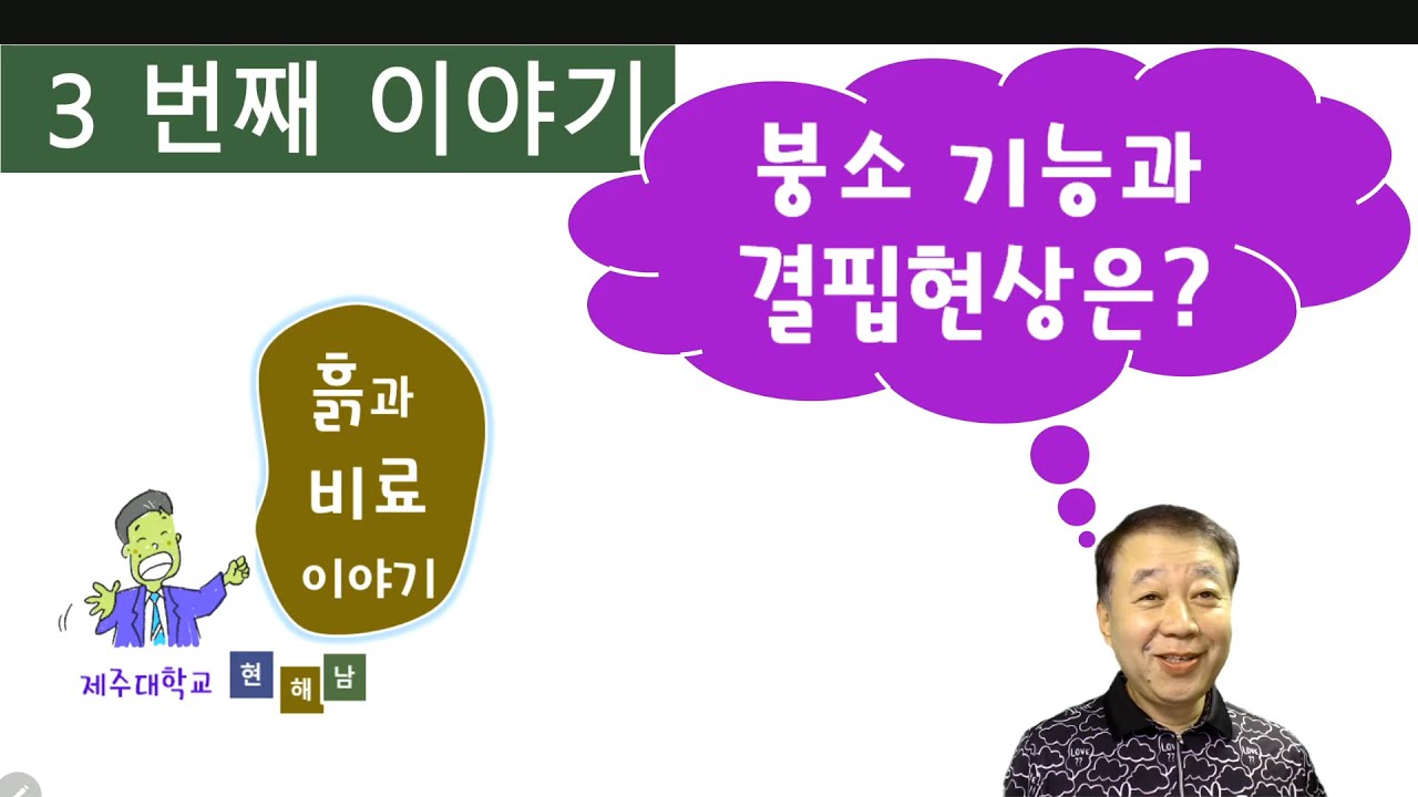붕소(2) - 붕소의 기능과 결핍현상은?