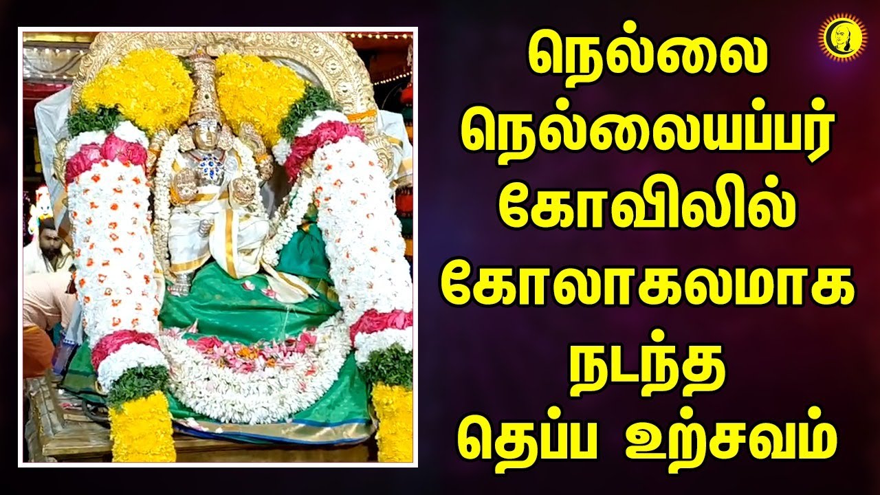 நெல்லை நெல்லையப்பர் கோவிலில் கோலாகலமாக நடந்த தெப்ப உற்சவம்