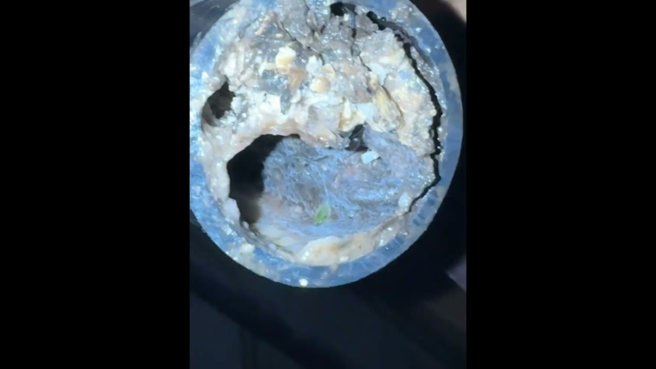Grease Clog in kitchen Sink! #plumbing #rooter #cloggeddrain #grease
