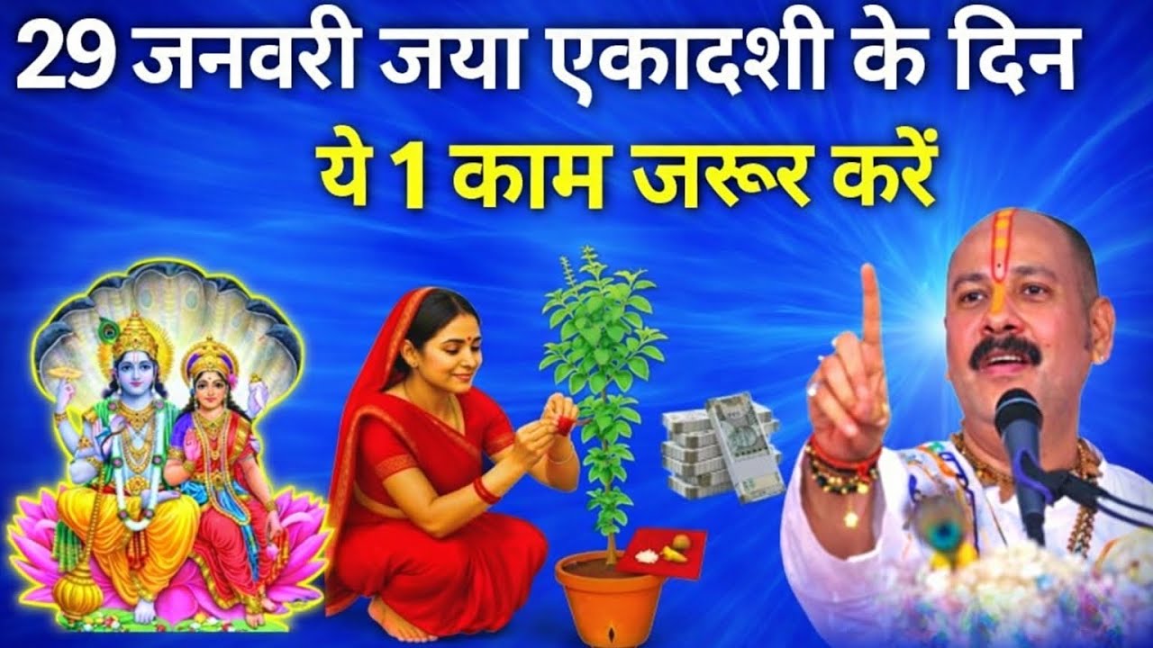 👉जया एकादशी के दिन तुलसी में कितने बजे इन चीजों को बांधना चाहिए कि तुलसी माता प्रसन्न हो एकादशीtulsi