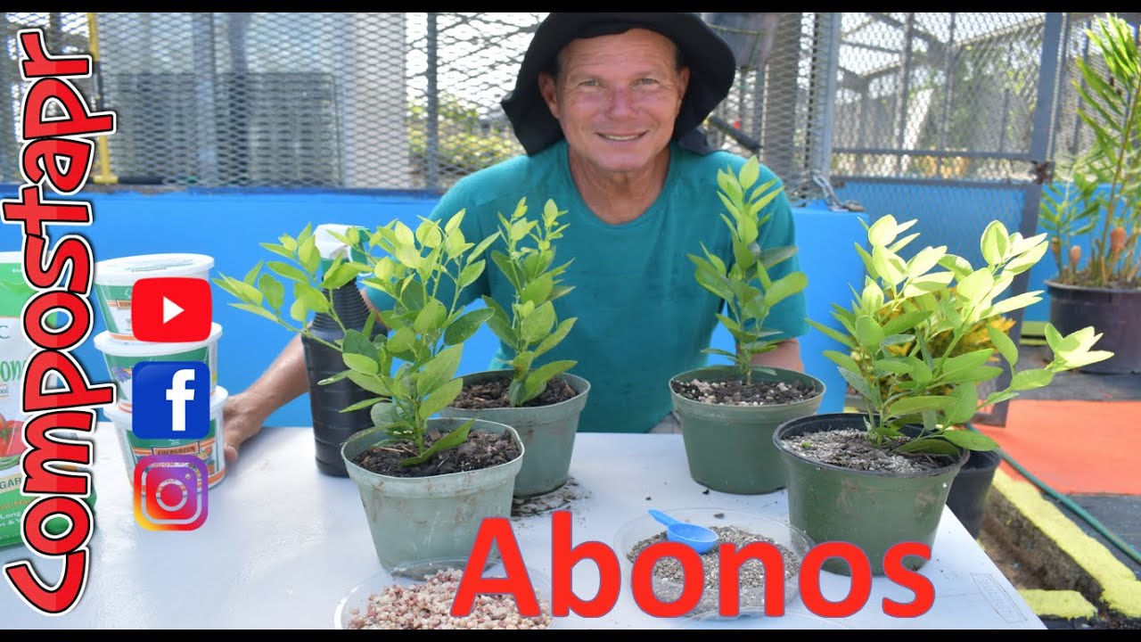 Abonos para el huerto