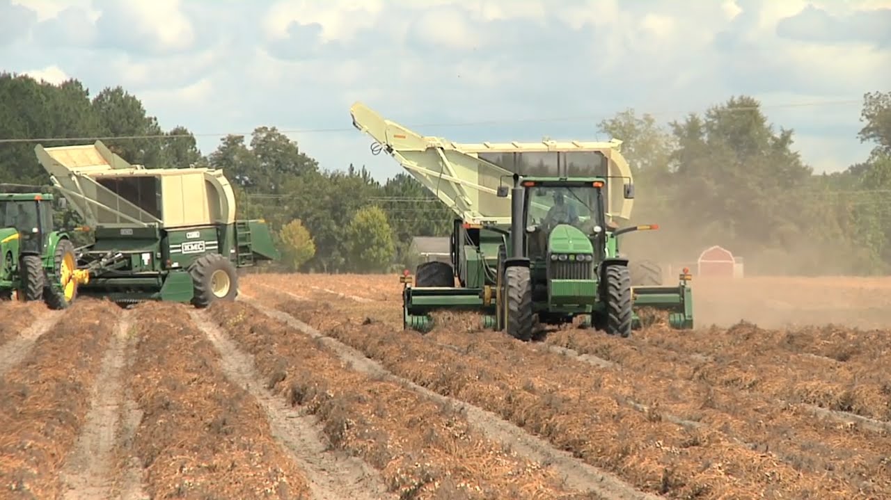 Peanut Tour Shares Production Updates and Grower Hardships
