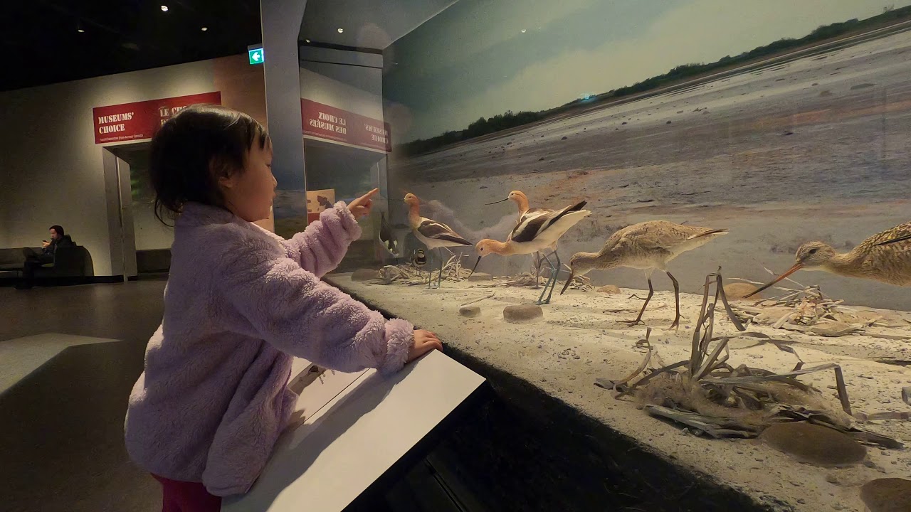 20191230 Royal Alberta Museum Part 11