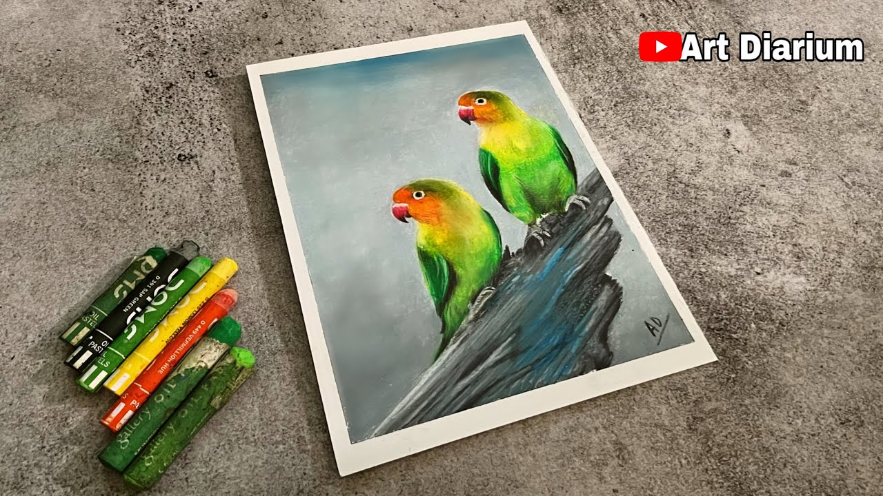 Parrot Drawing with Oil Pastel for beginners - Step by Step