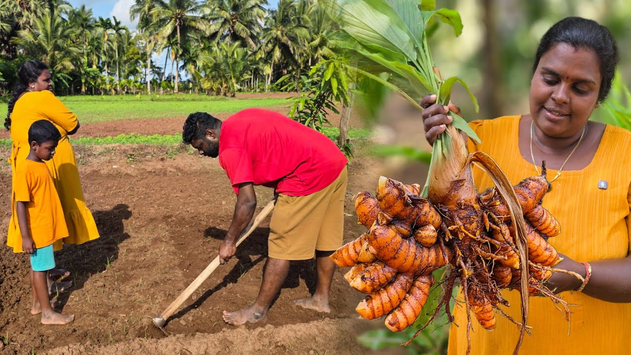 நாங்கள் தோட்டத்தில் என்னவெல்லாம் செய்கிறோம் | Our garden ♥️ | village lifestyle | vanni vlog 