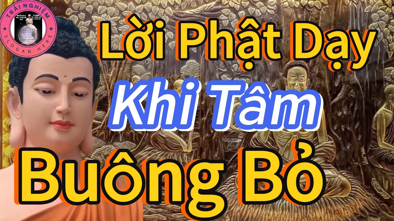 Khi Tâm Buông Bỏ Cuộc Sống Trở Nên An Lành 