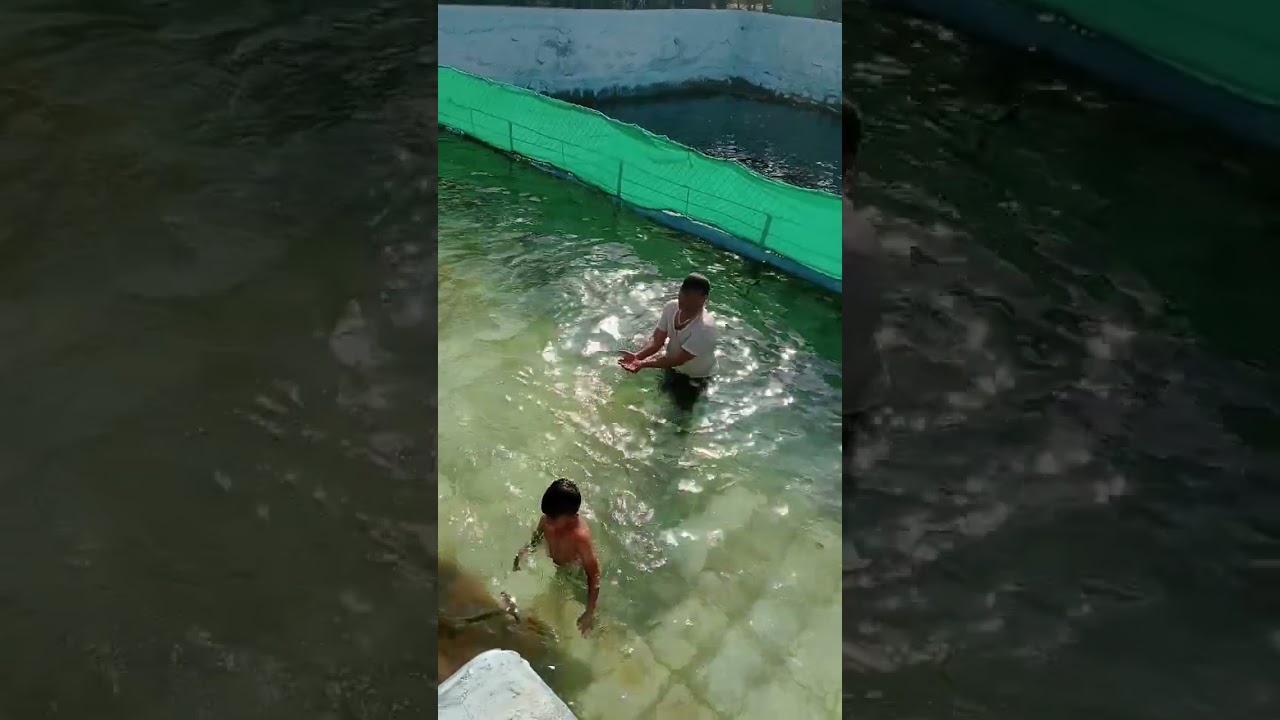 #Raichur swimming pool