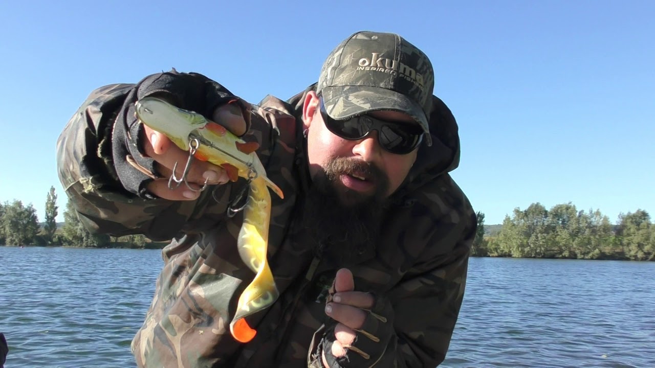 Présentation du 3D Hybrid Pike
