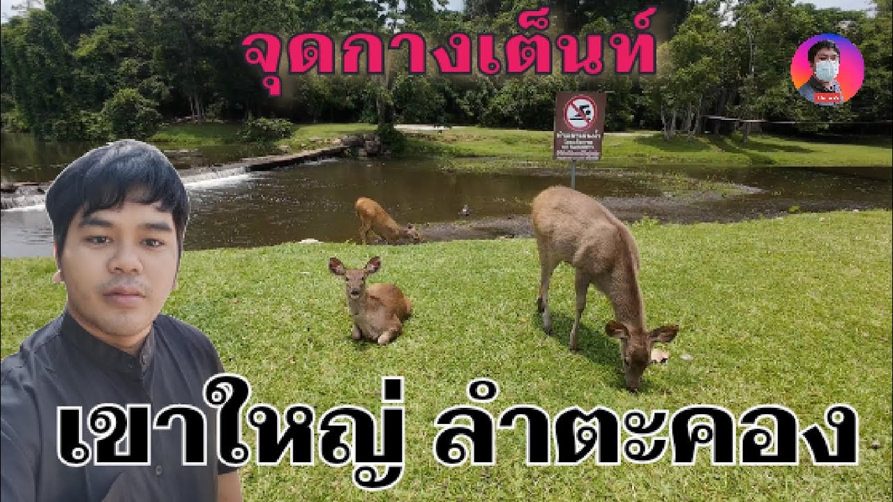 เที่ยวจุดกางเต็นท์ลำตะคอง..กับบรรยากาศถ่ายรูปกวาง คนก็มากางเต็นท์อยู่เรื่อยๆ