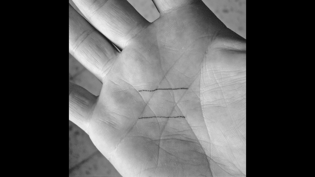 עטר מיינר - פינה לאהוב (עם ליעם חכמון ונופר סלמאן)