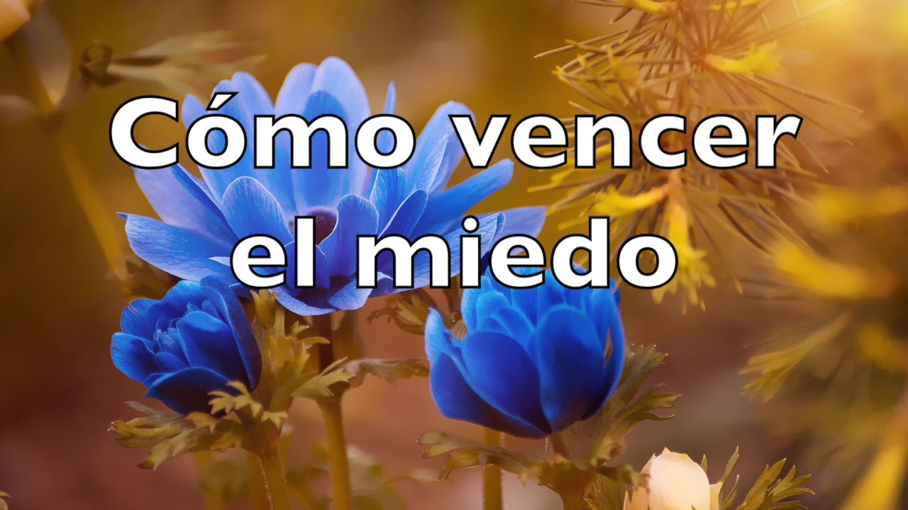 Cómo vencer el miedo/ Abraham Hicks en español, nuevo 2019