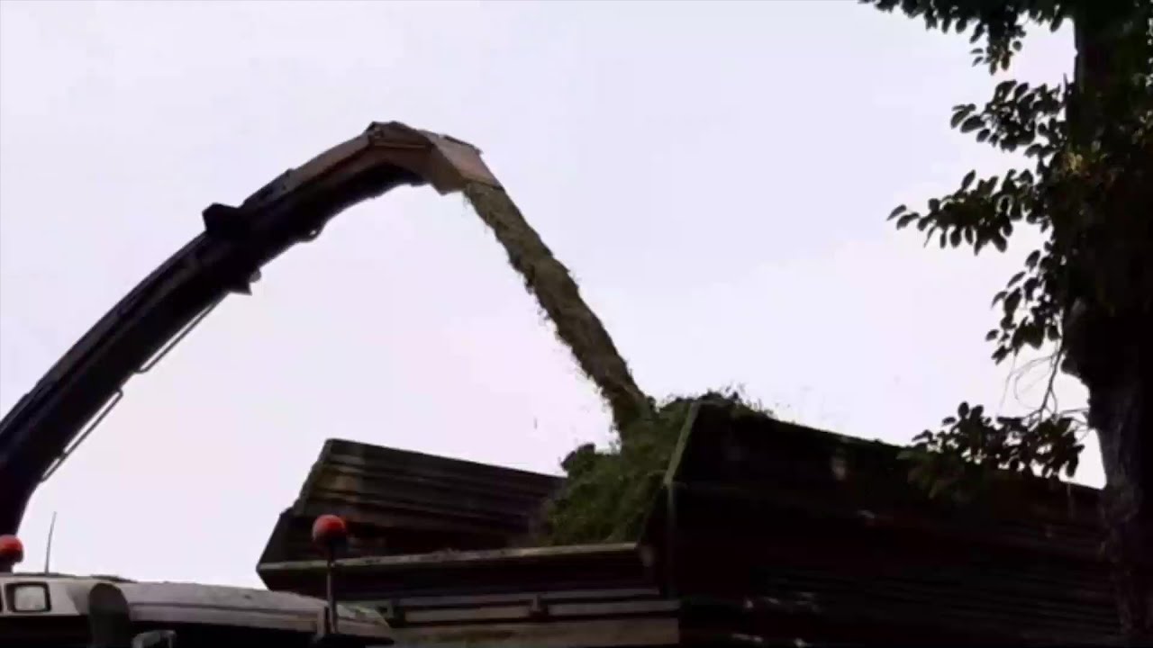 Foraggio // Frumento foraggero // New Holland