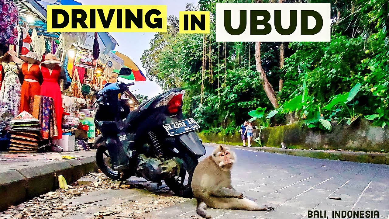 A Day in BAli | Riding in the Heart of UBUD | Indonesia 2022