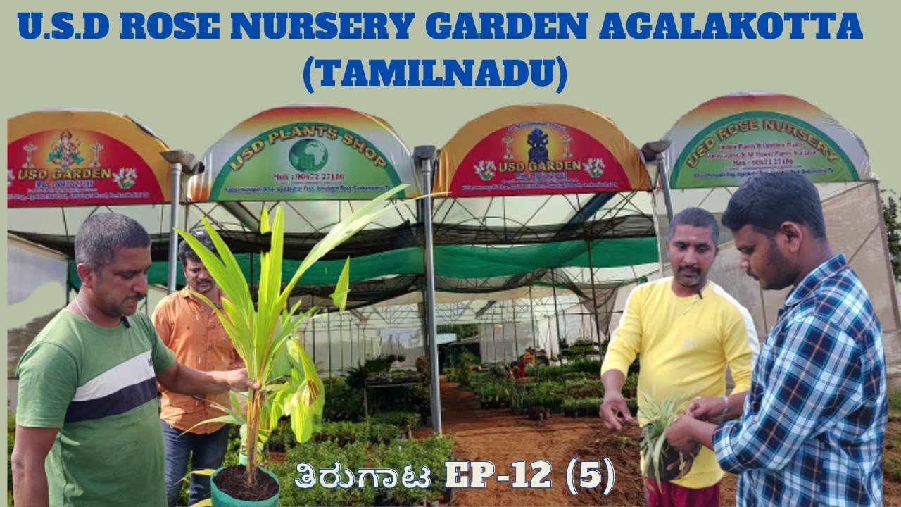 U.S.D Rose Nursery Garden Agalakotta (Tamilunadu) | ನರ್ಸರಿ | ತೀರುಗಾಟ EP-12 (5) | U Premier Series