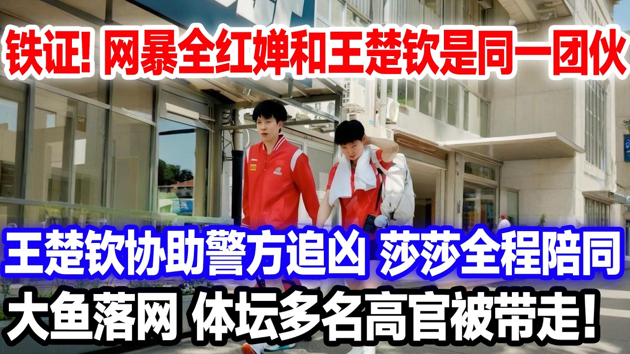 查清了！近期疯狂网暴全红婵之人被捕，王楚钦协助调查揪出幕后真凶，竟然与网暴大头是同一伙人？