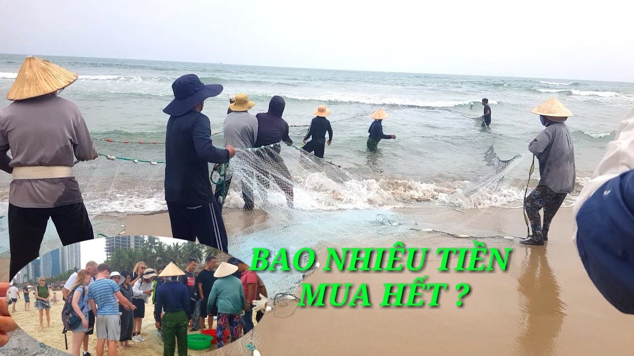 MẺ LƯỚI RÙNG KHÔNG NHƯ MONG ĐỢI NHƯNG BÁN ĐƯỢC GIÁ CAO !