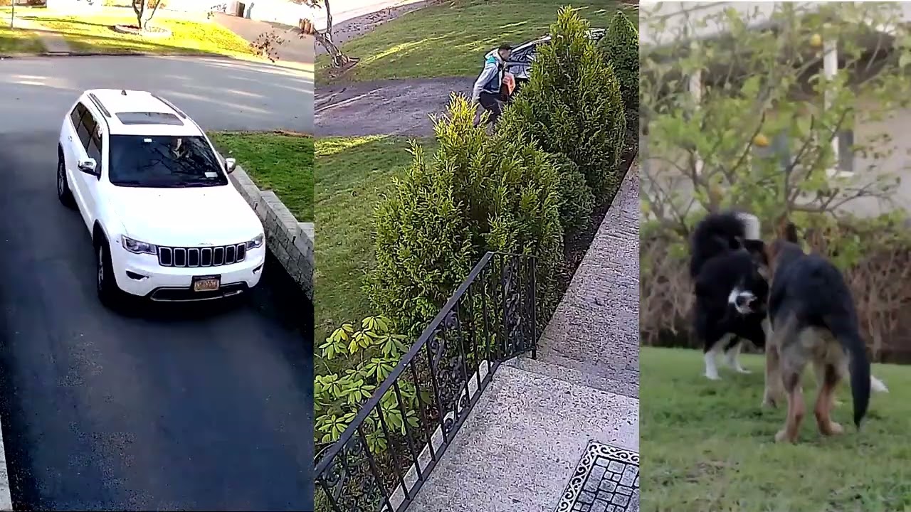 Yeewise Wire-Free Solar Security Camera System, 100% Wireless Battery Powered Cameras & Free Storage