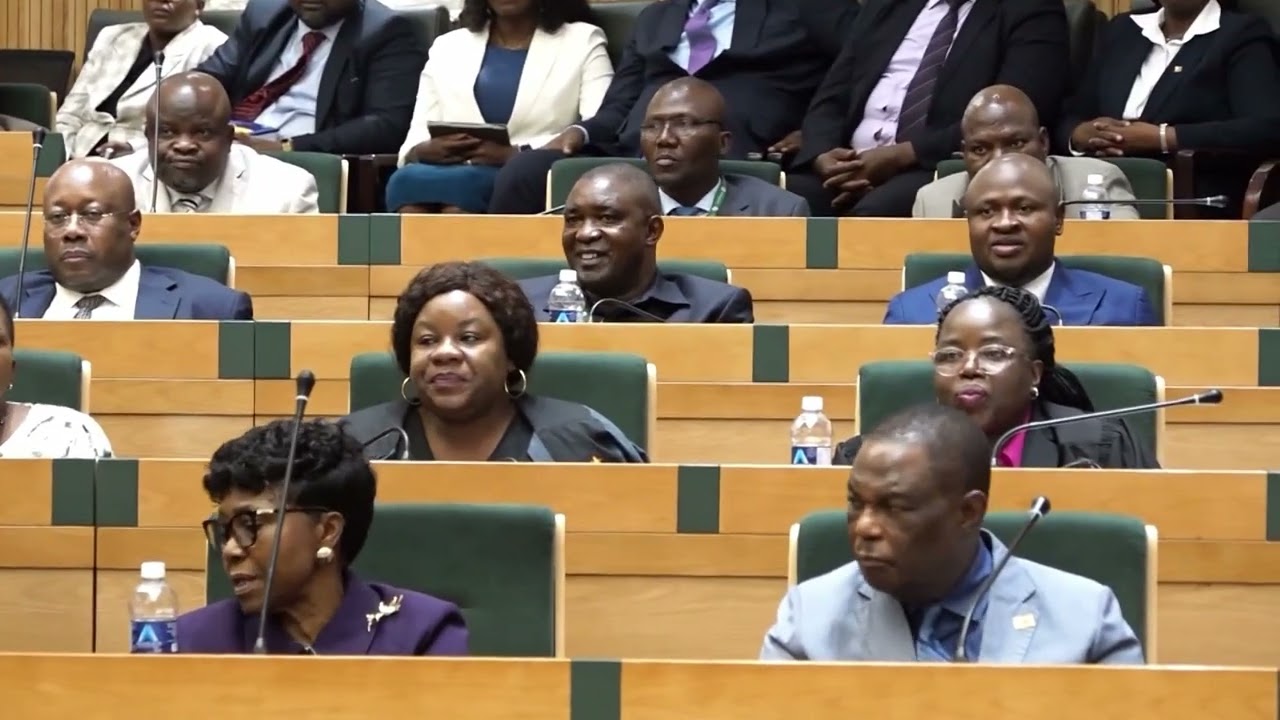 Zimbabwe's national budget nearly doubles in eight years - SADC