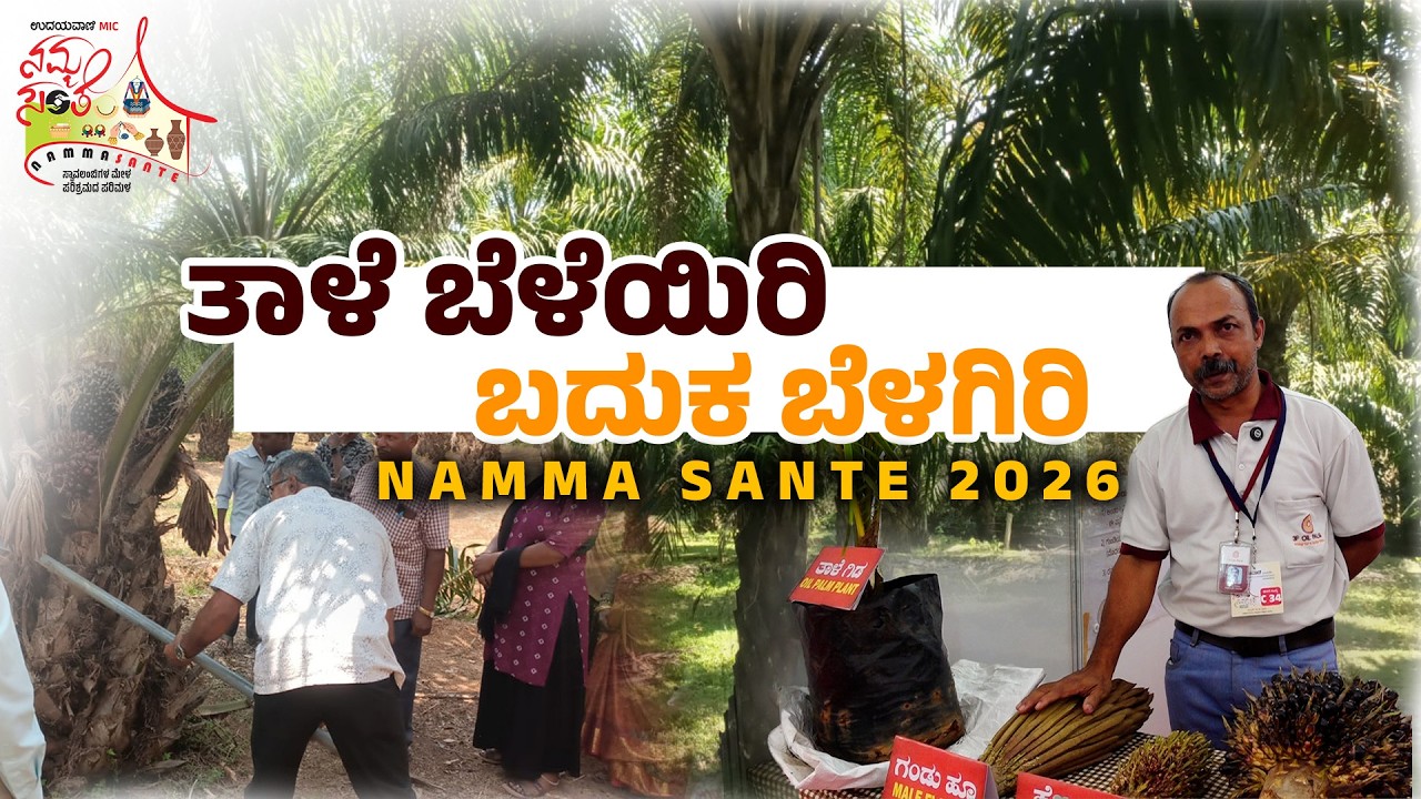 ಅಧಿಕ ಆದಾಯ ತರುವ ತಾಳೆ ಬೆಳೆ ಬಗ್ಗೆ ಮಾಹಿತಿ .. | Namma Sante - 2026 | Udayavani