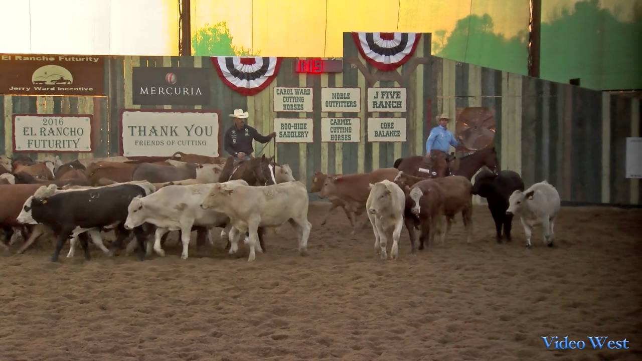 Reyzin The Cash  2016 El Rancho Futurity  Open Classic Finals Score  230