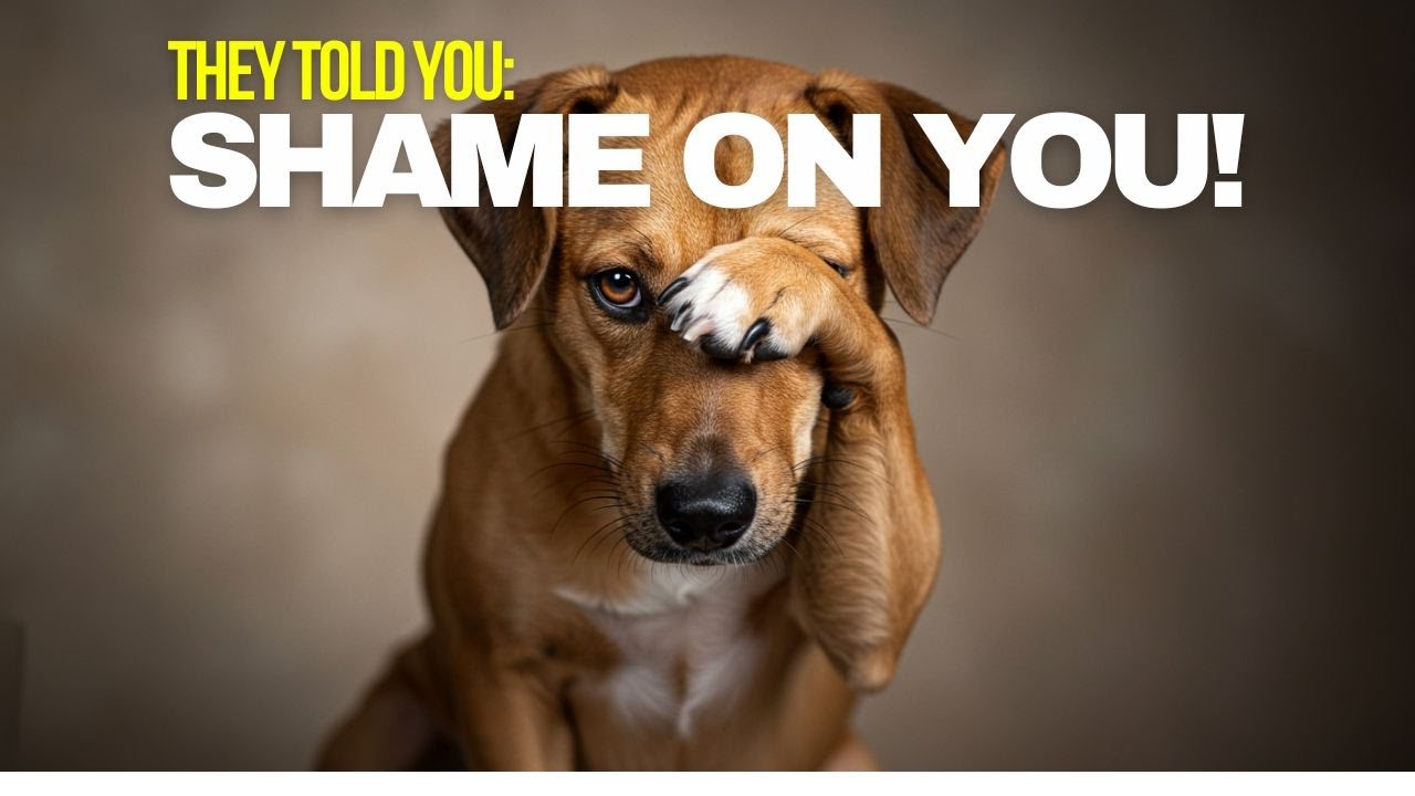 The silent saboteur: How SHAME is controlling your life