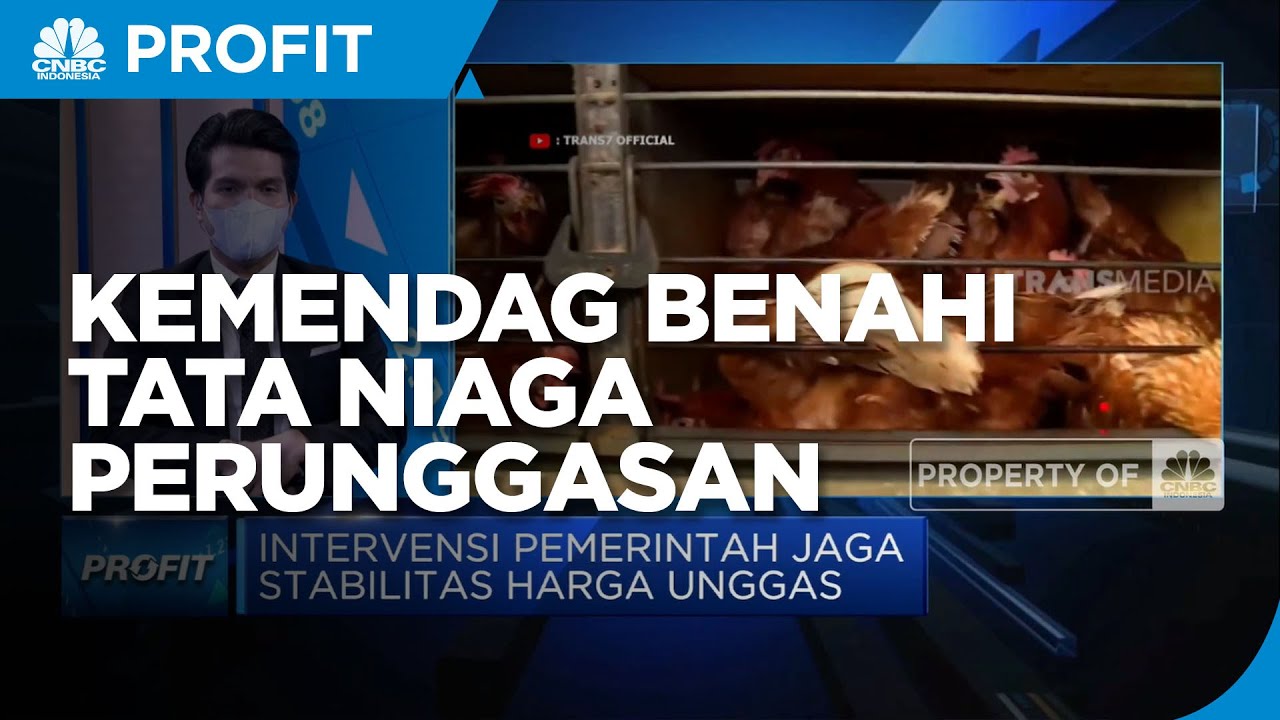 Dorong Daya Saing Ternak Lokal, Kemendag Benahi Tata Niaga Perunggasan