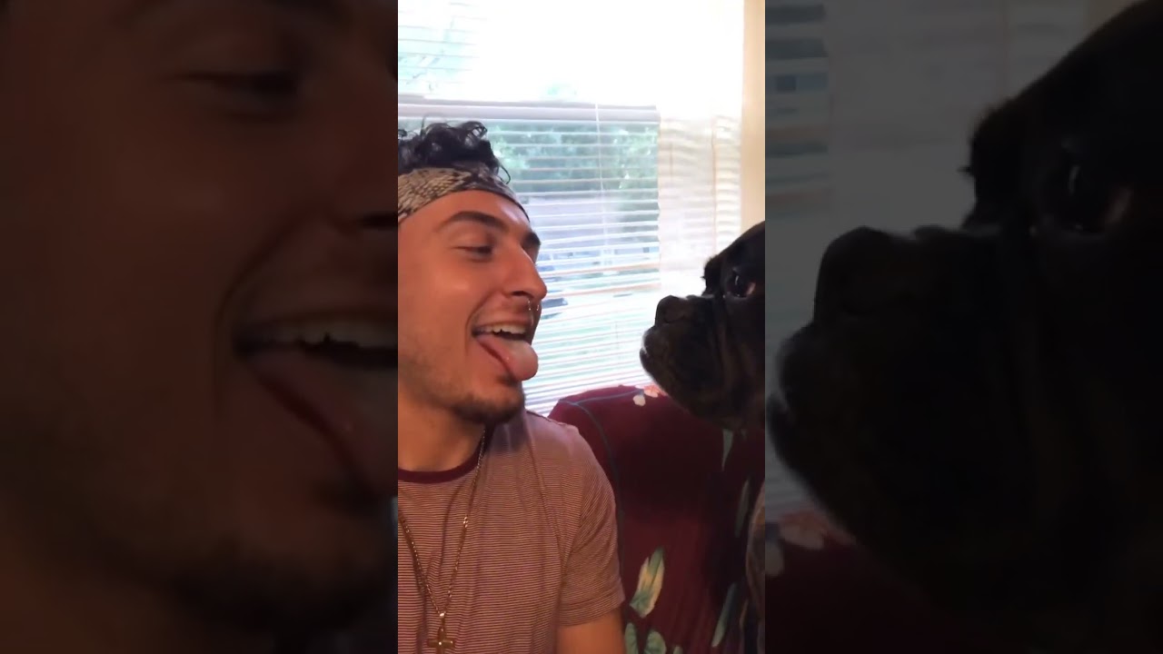 Drunk Man French Kisses Female Dog